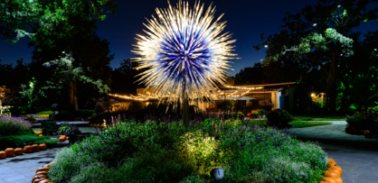 chihuly_nights-blog