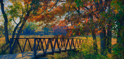 fall_color-blog