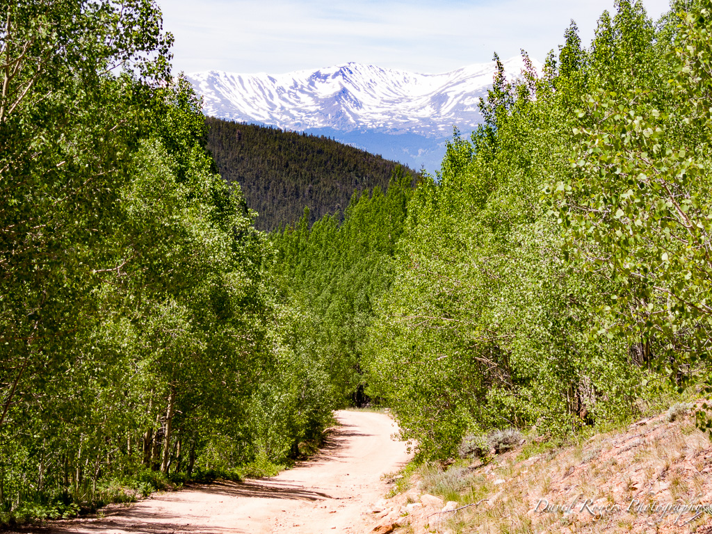 Mt Elbert from Weston Pass Road