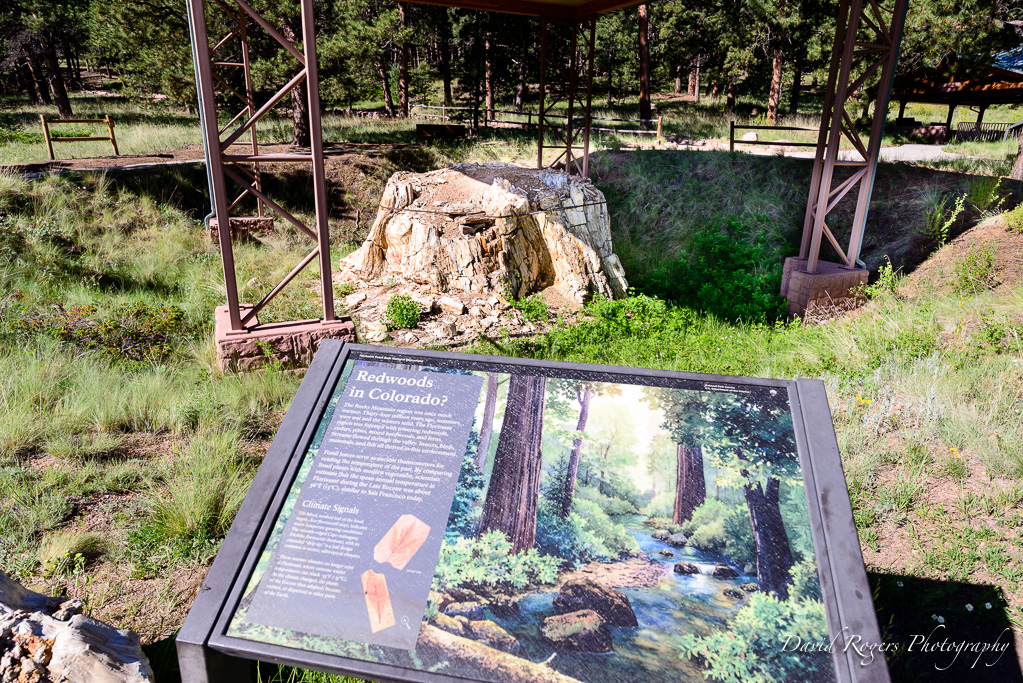 Florissant Fossil Beds National Monument