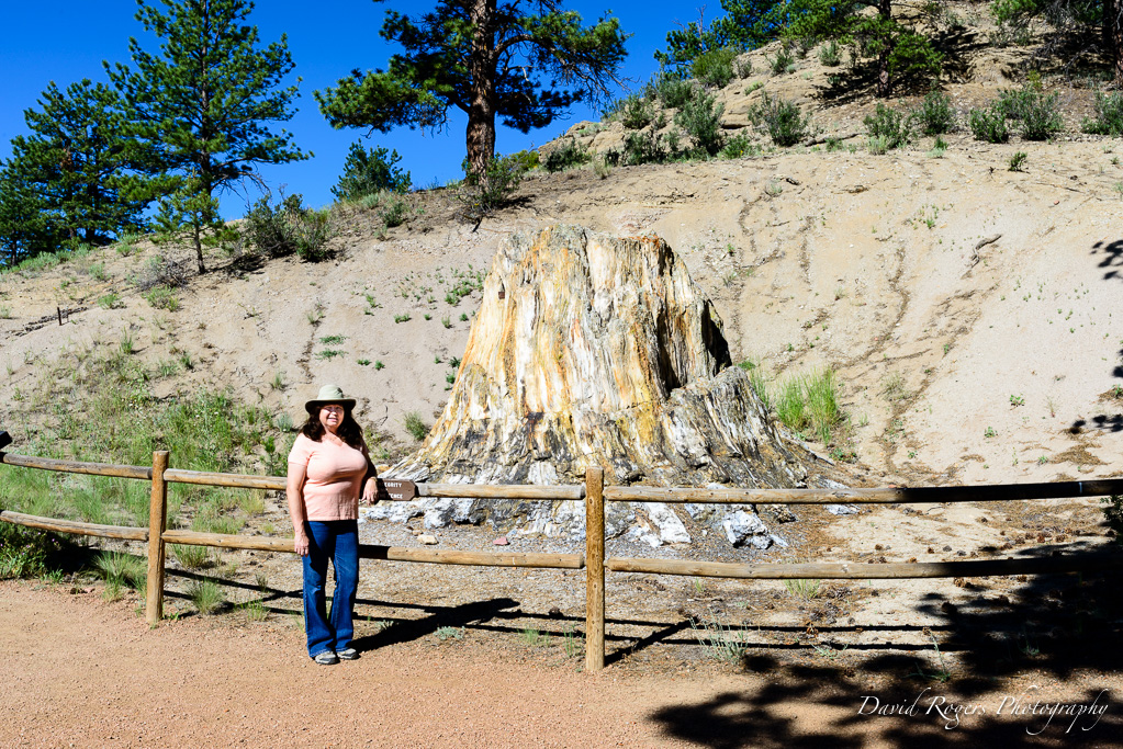 Florissant Fossil Beds National Monument