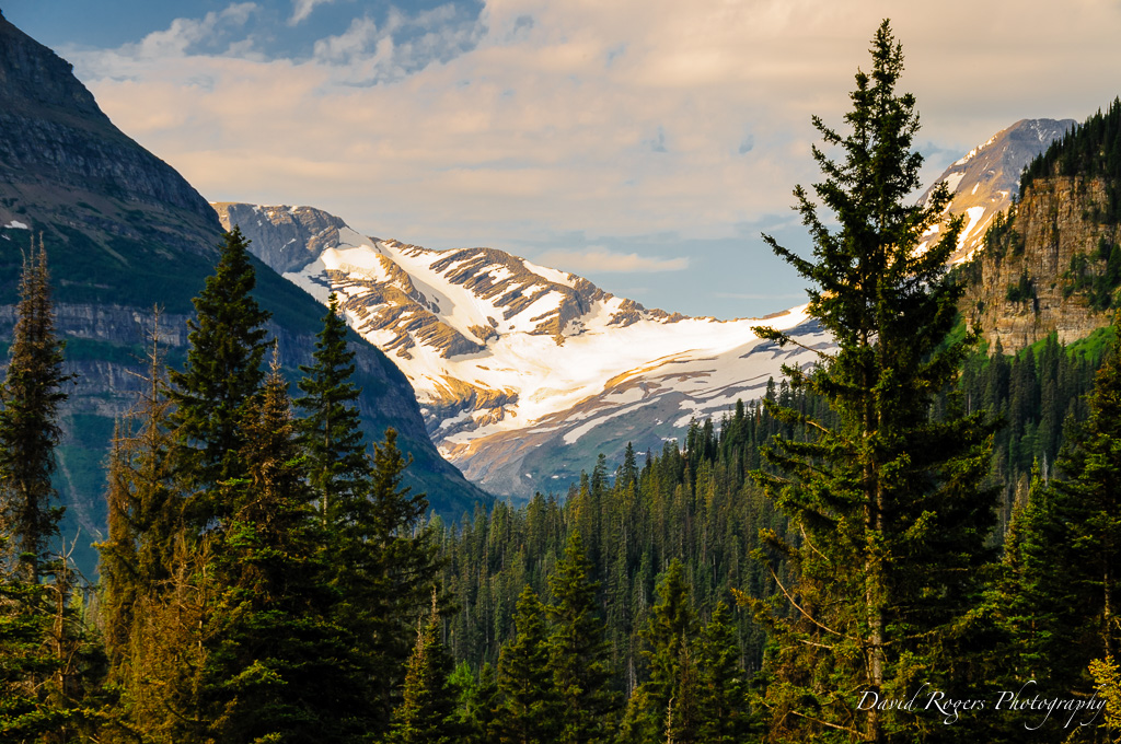 Jackson Glacier