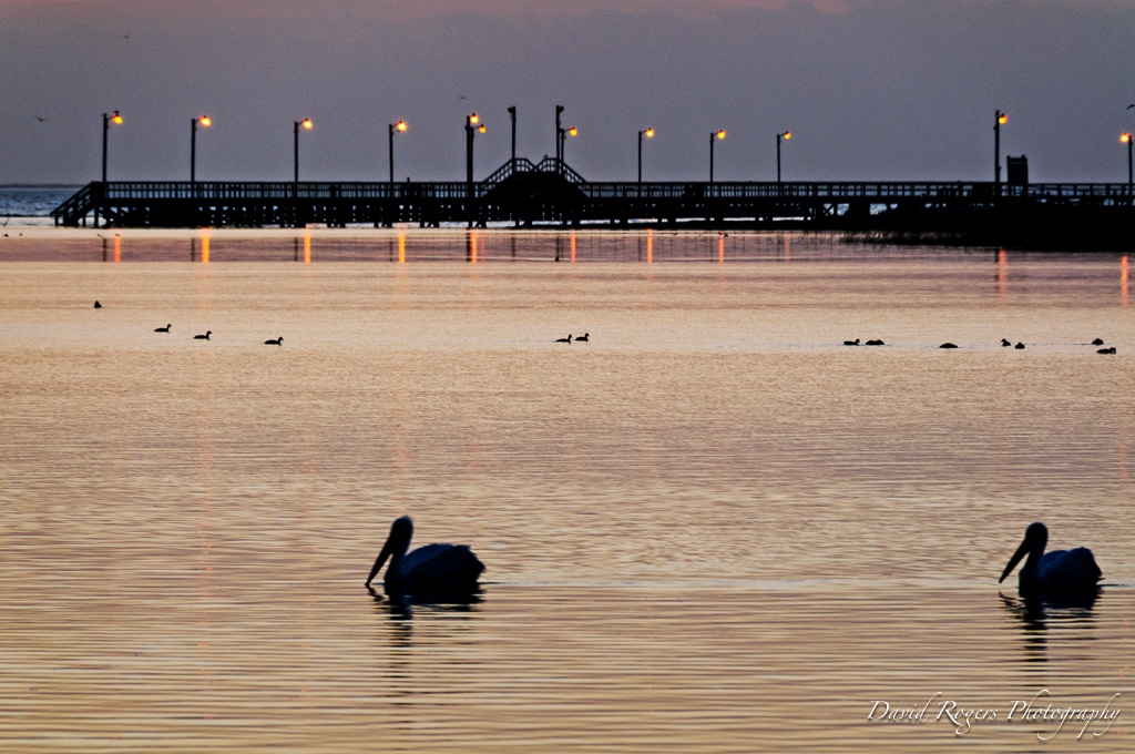Pelican Bay