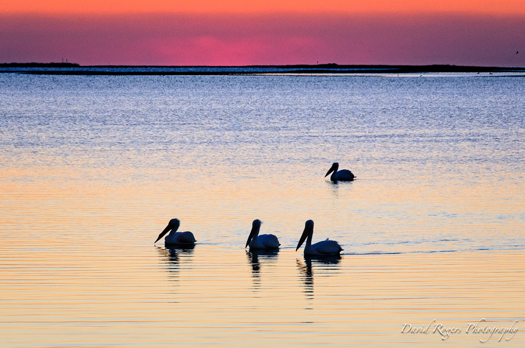 Sunrise at Pelican Bay